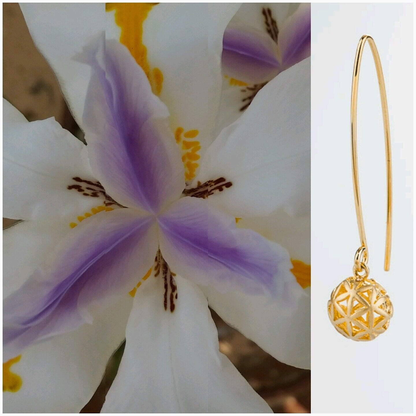 Seed of life threader earrings